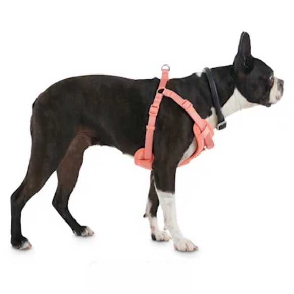 PETCO GOOD2GO Pink Padded Step-In Dog Harness, Large - Picture 7 of 9